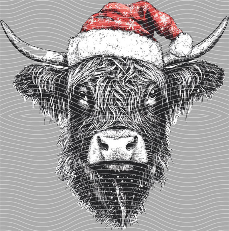 Christmas-DJ 566